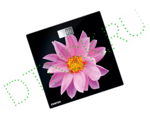 Centek CT-2416 Pink Flower  DTNSK.RU  Дом Техники НСК